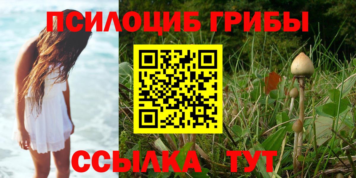 Псилоцибиновые грибы Psilocybine cubensis  Вход с VPN  Заволжье 