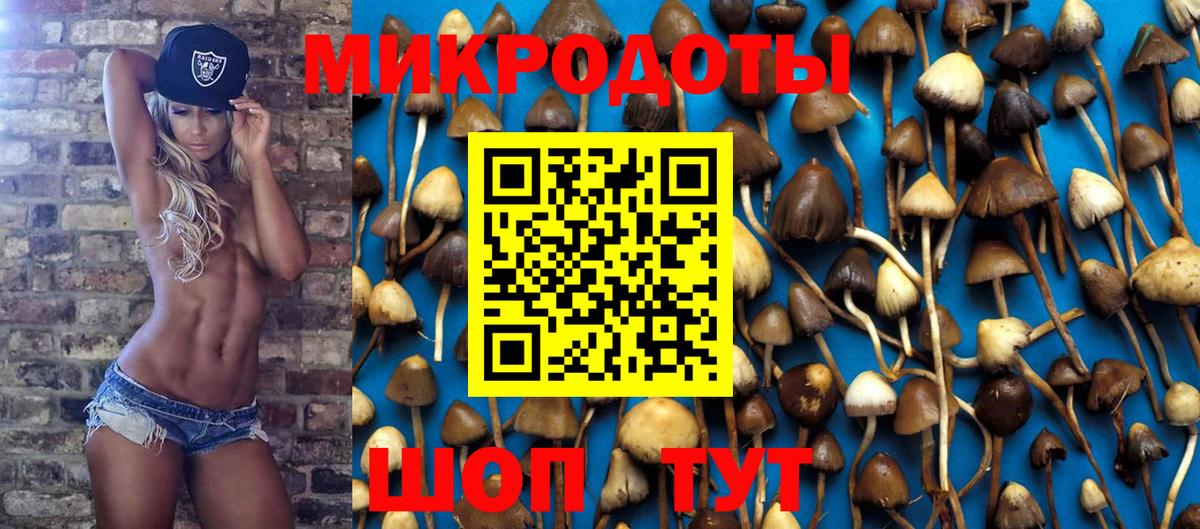 Галлюциногенные грибы мицелий Заволжье